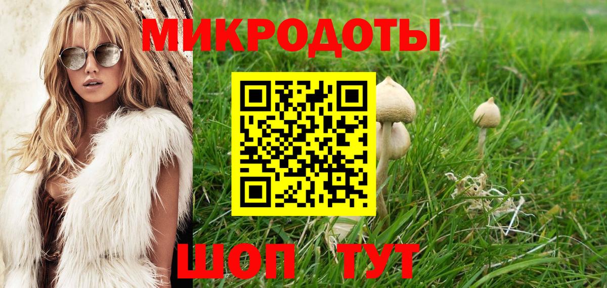 Галлюциногенные грибы Psilocybe Усолье-Сибирское